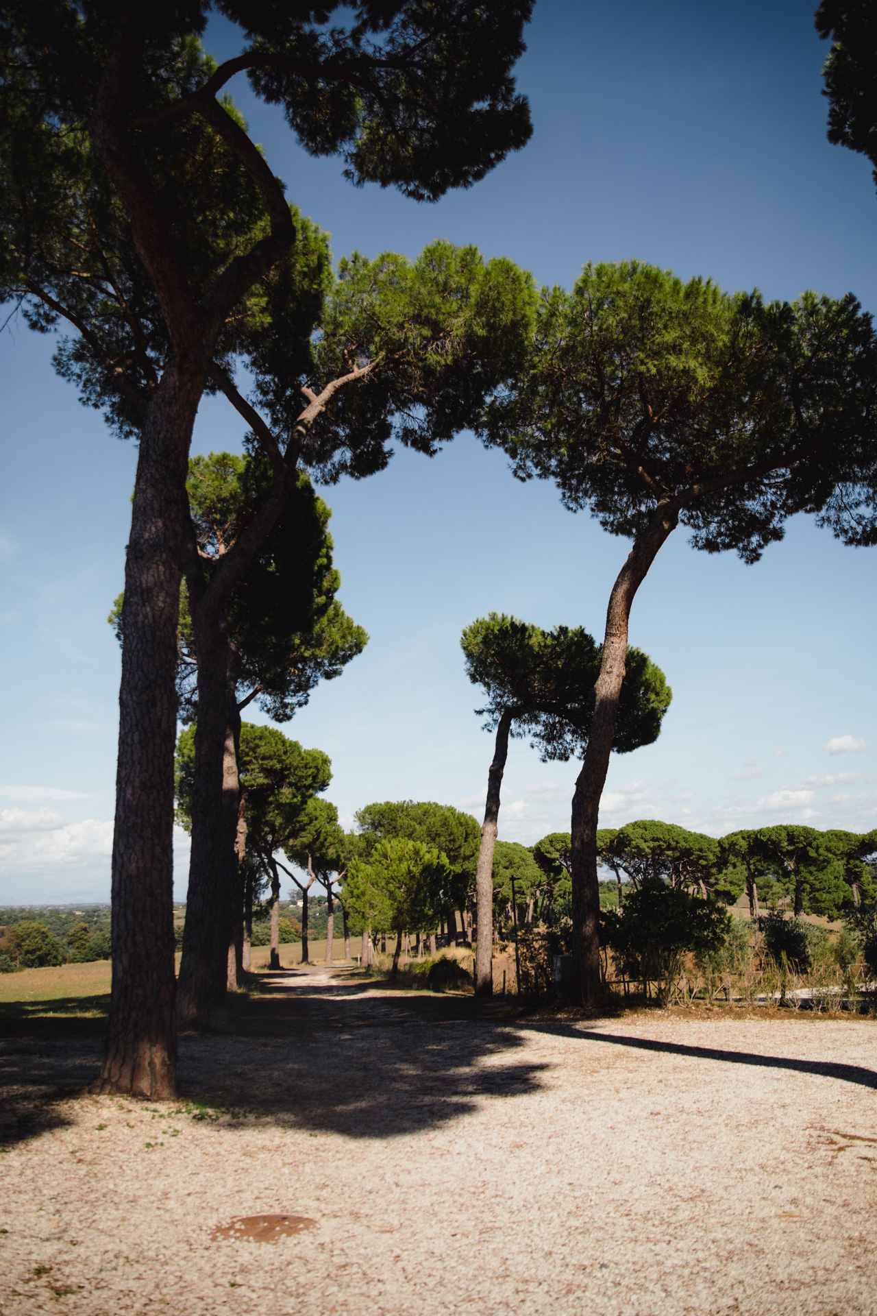 Yasmine&Stefano fotografo matrimonio destination wedding photographer videographer luxury italia como lake amalfi coast apulia rome roma sicily masseria potenti tuscany cerimonia ceremony milan villa emaldi