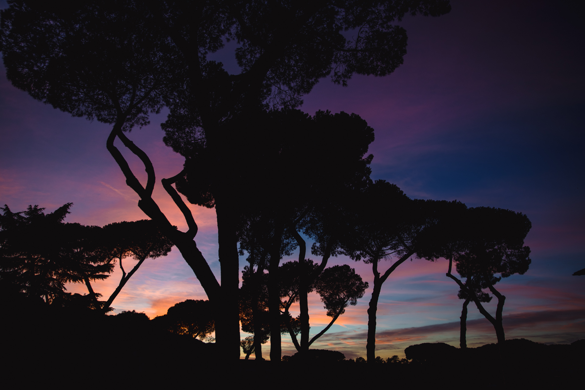 Yasmine&Stefano fotografo matrimonio destination wedding photographer videographer luxury italia como lake amalfi coast apulia rome roma sicily masseria potenti tuscany cerimonia ceremony milan villa emaldi